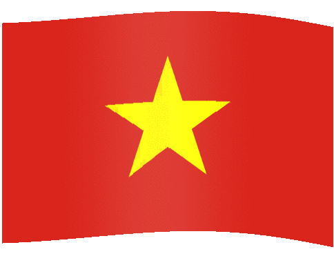 Vietnam Flag
